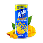 Bevanda al mango Rani 235 ml